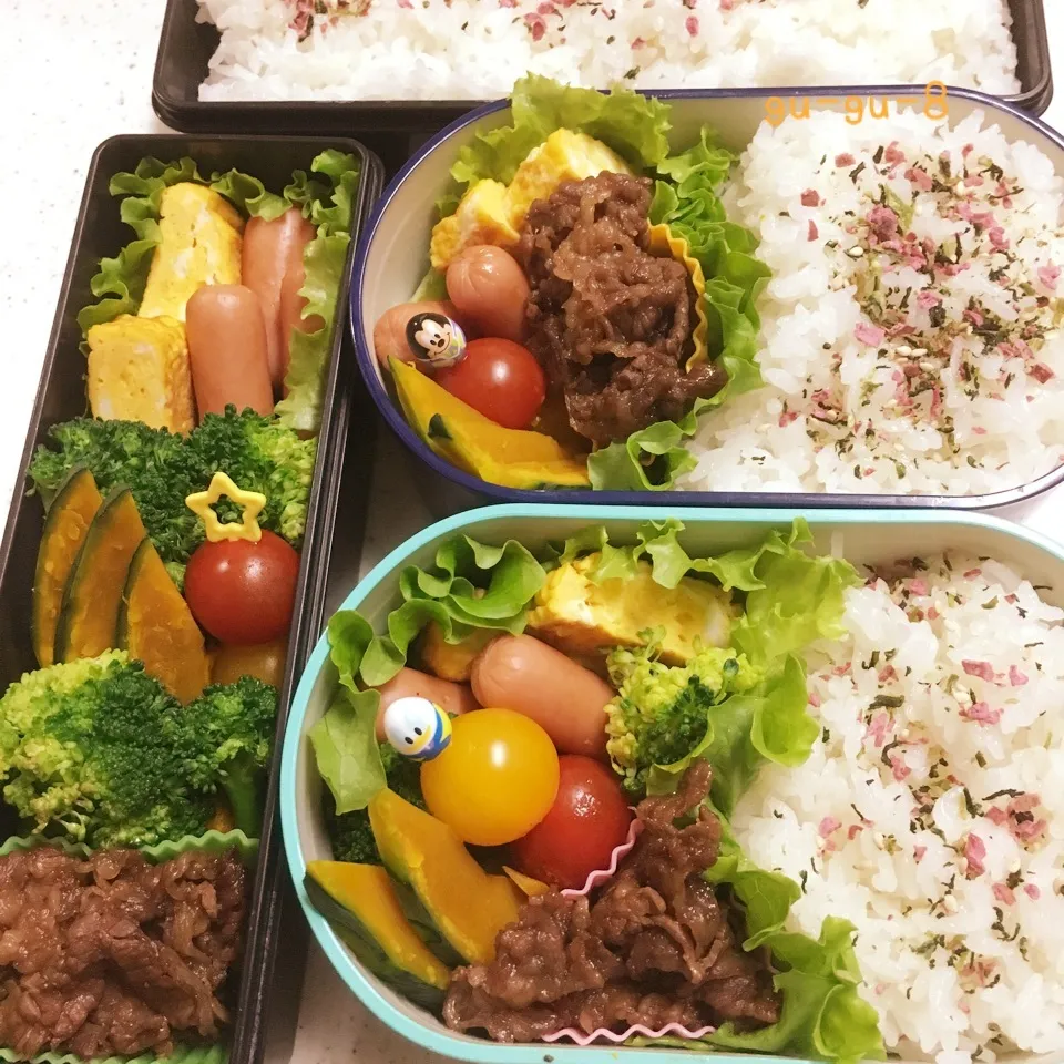 今日のお仕事&学校弁当♪|ぐぅさん