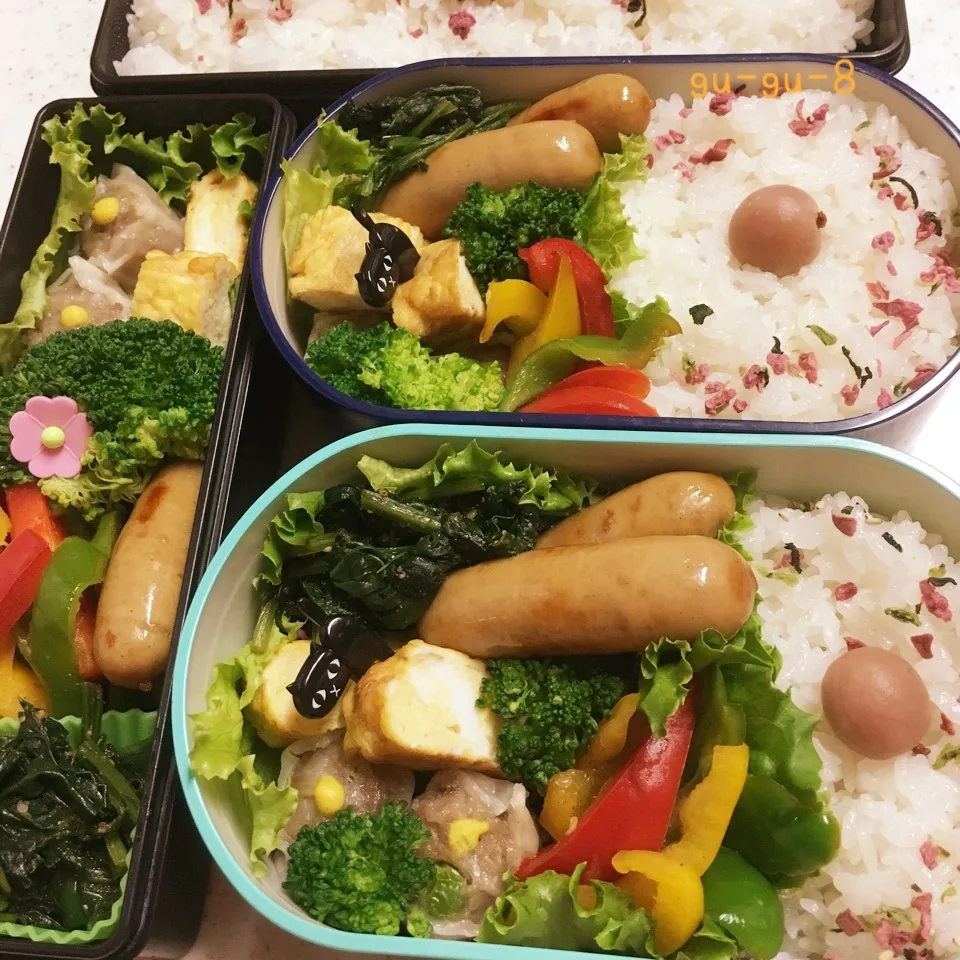 今日のお仕事&学校弁当♪|ぐぅさん