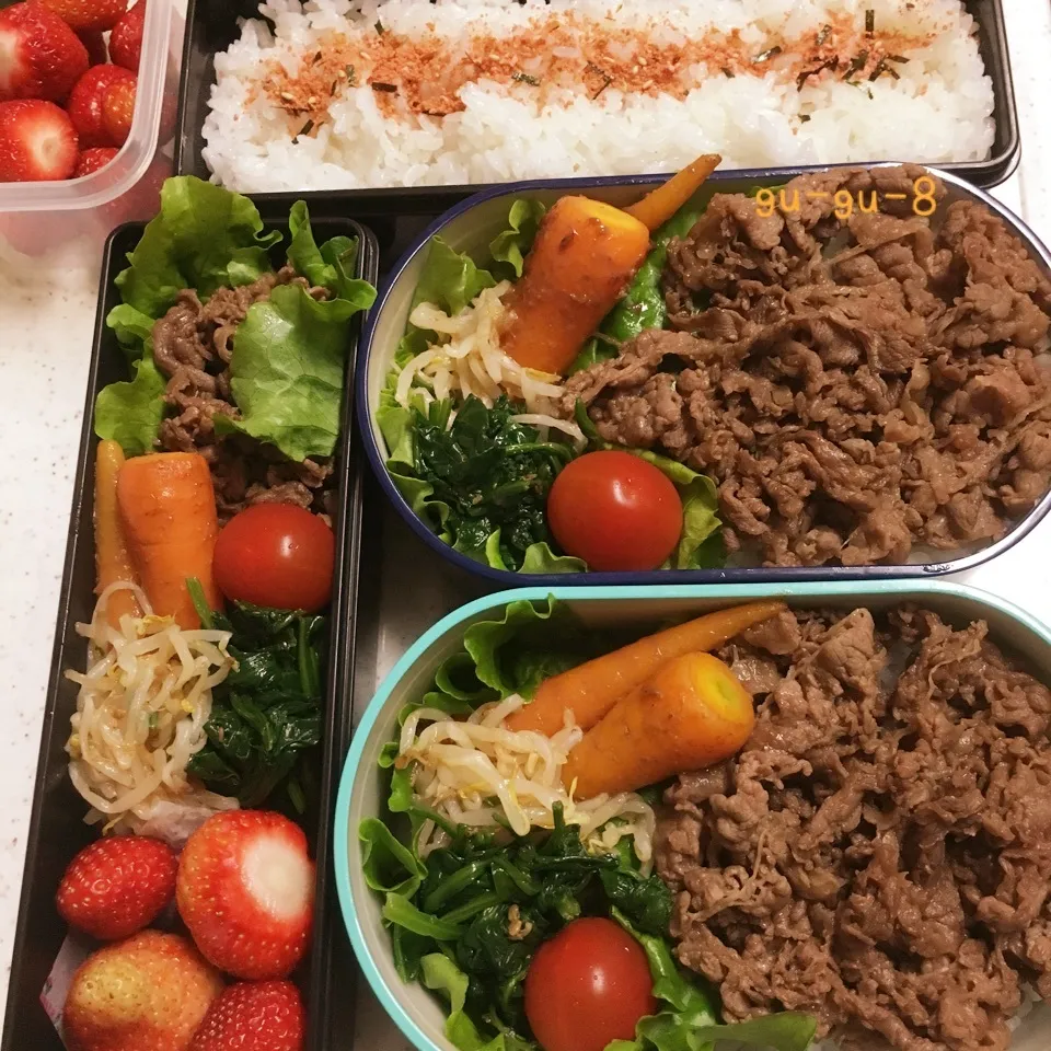 今日のお仕事&学校弁当♪|ぐぅさん