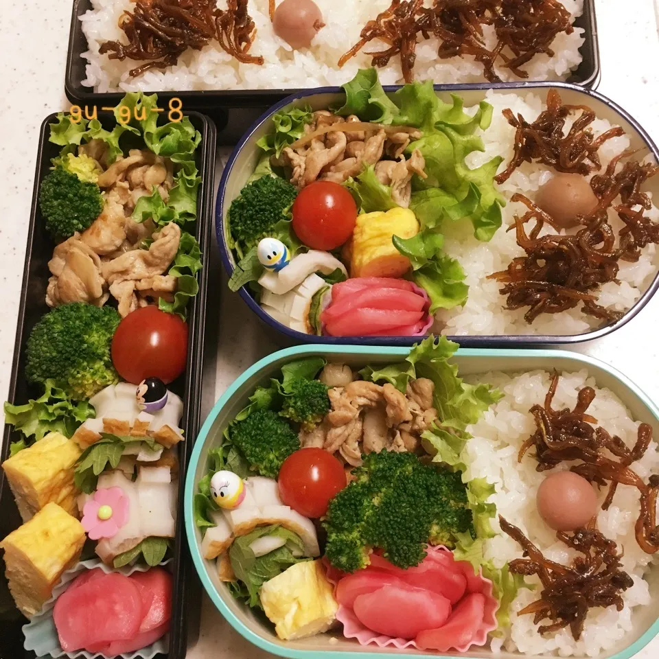 今日のお仕事&学校弁当♪|ぐぅさん