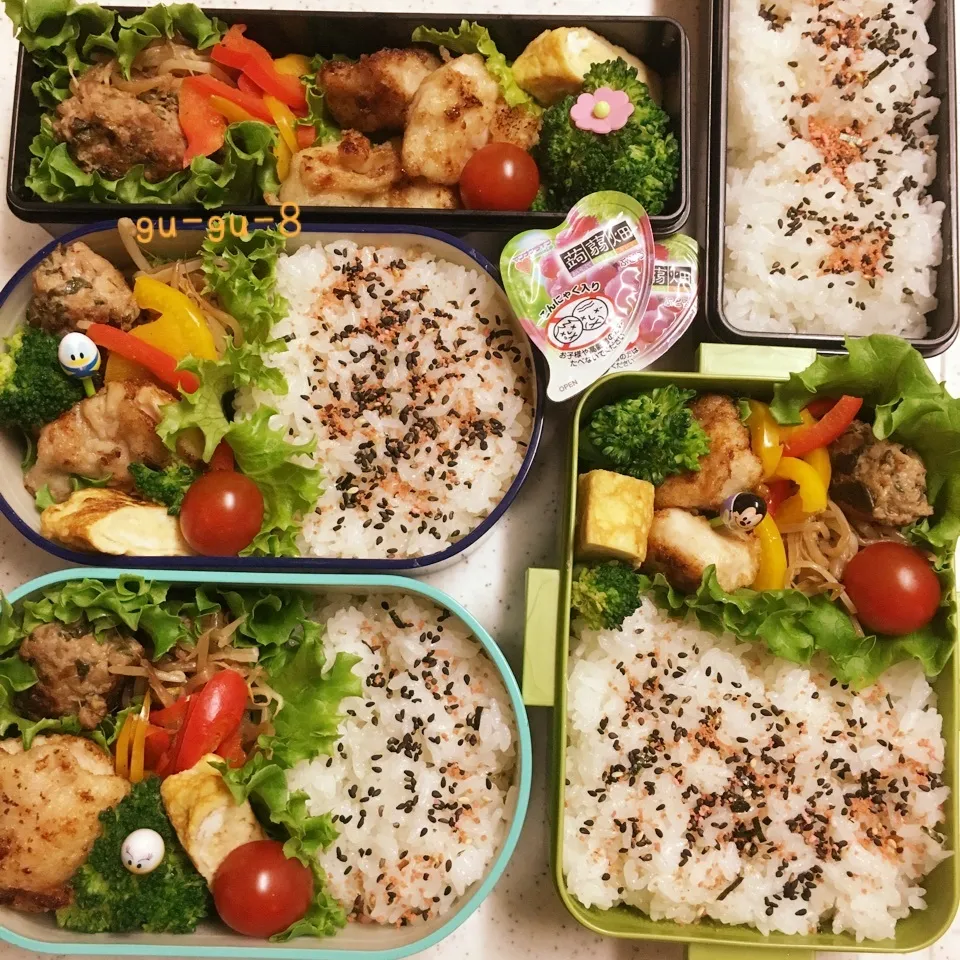 今日のお仕事&学校&社会科見学弁当♪|ぐぅさん