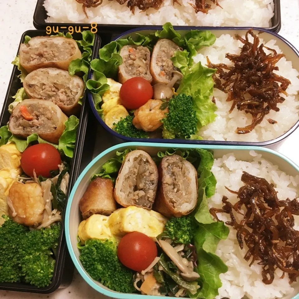 今日のお仕事&学校弁当♪|ぐぅさん