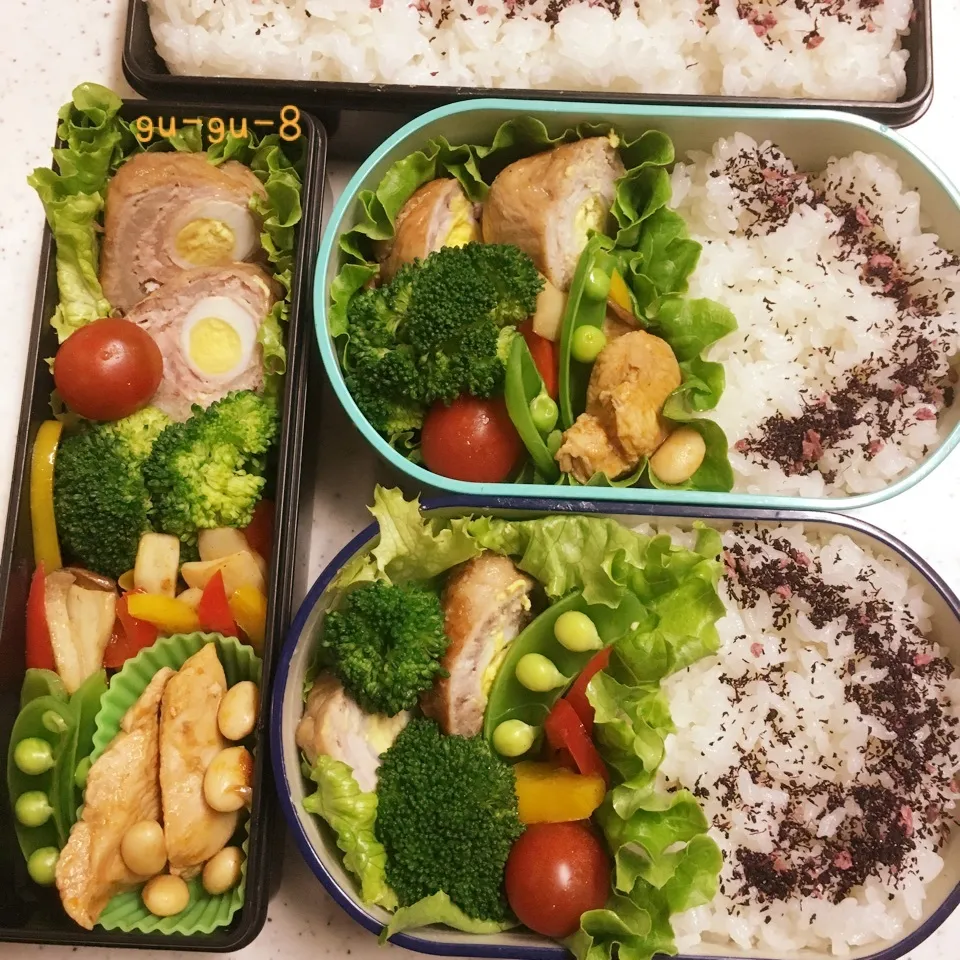 今日のお仕事&学校弁当♪|ぐぅさん