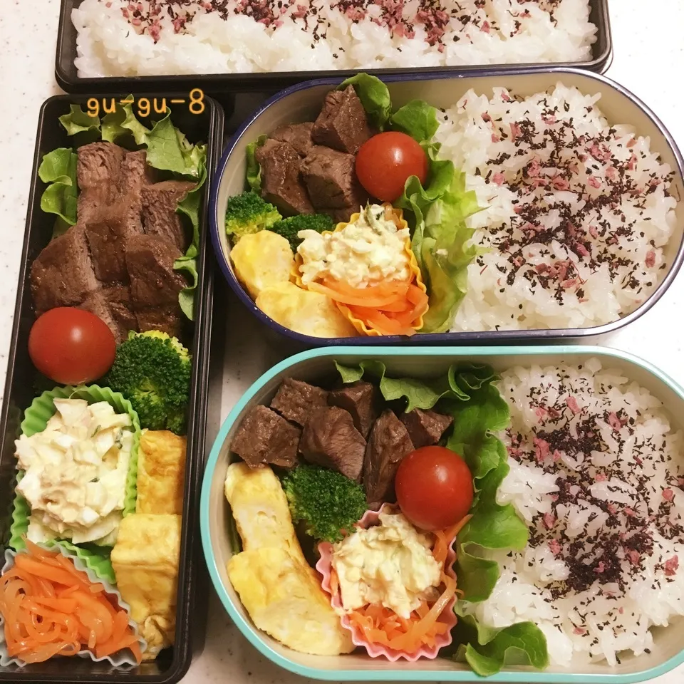 今日のお仕事&学校弁当♪|ぐぅさん