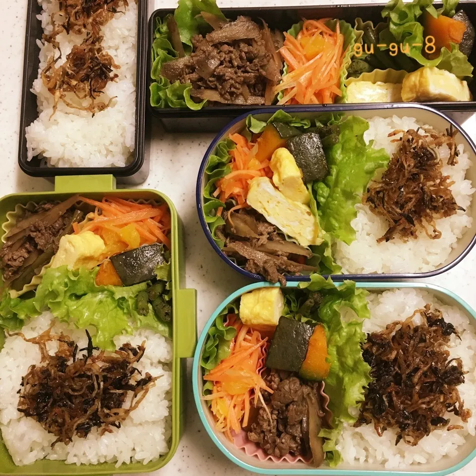 今日のお仕事&留守番弁当♪|ぐぅさん