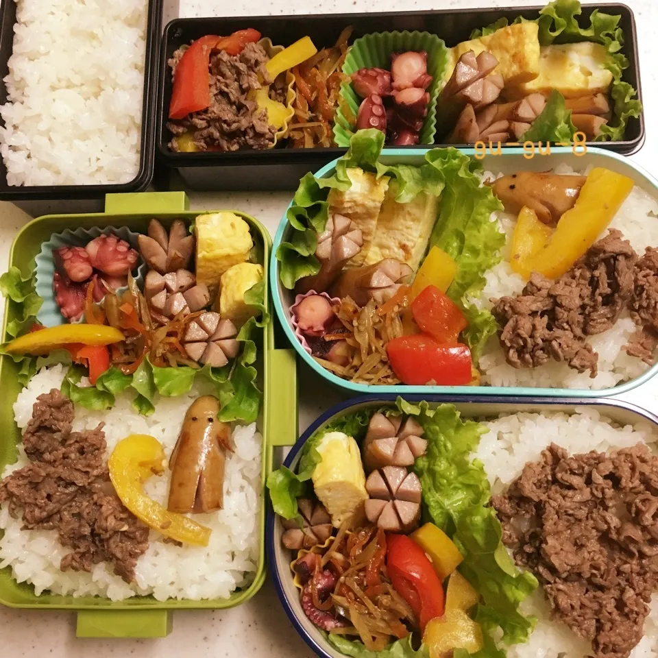 今日のお仕事&留守番弁当♪|ぐぅさん