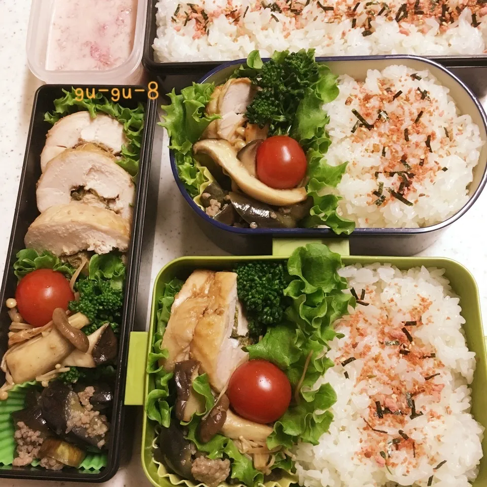 今日のお仕事&留守番弁当♪|ぐぅさん