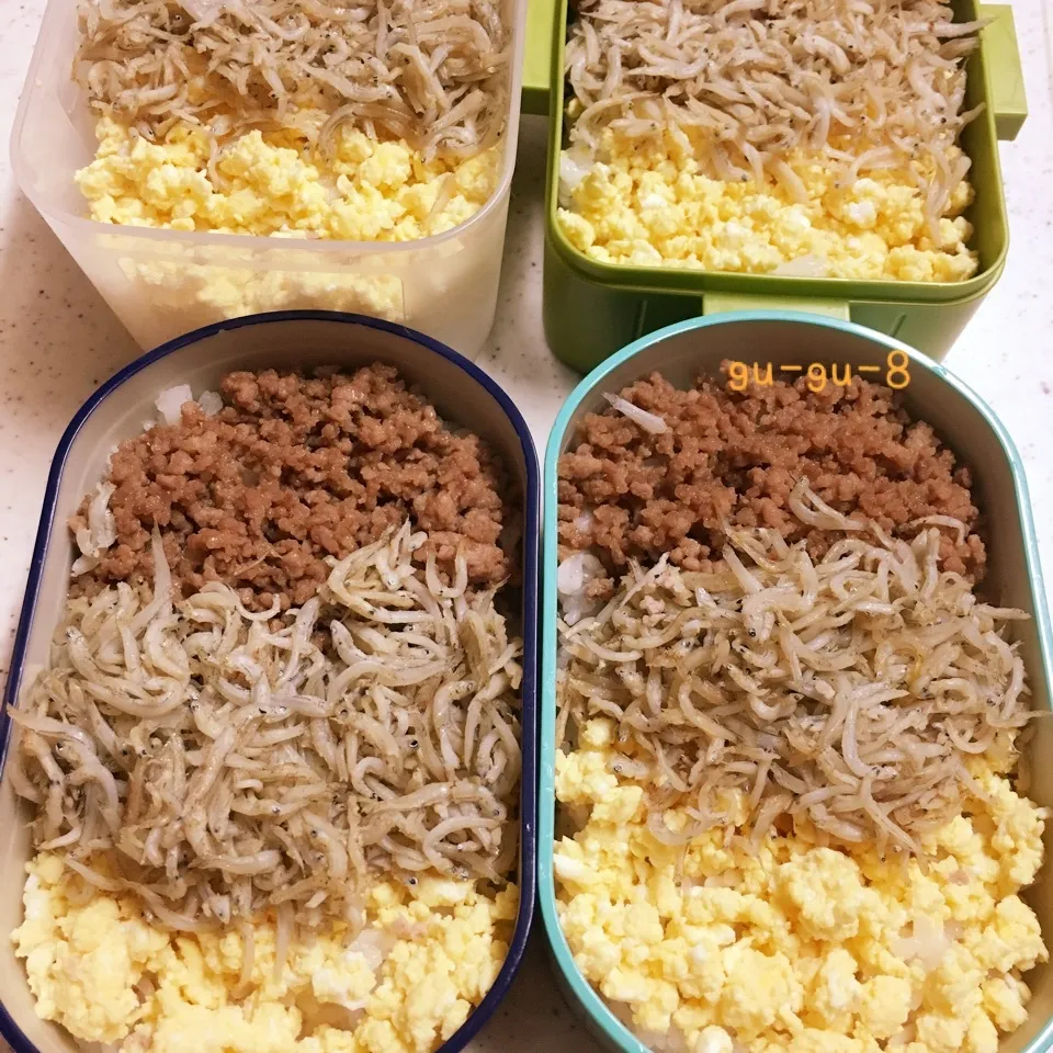 今日のお仕事&留守番弁当♪|ぐぅさん