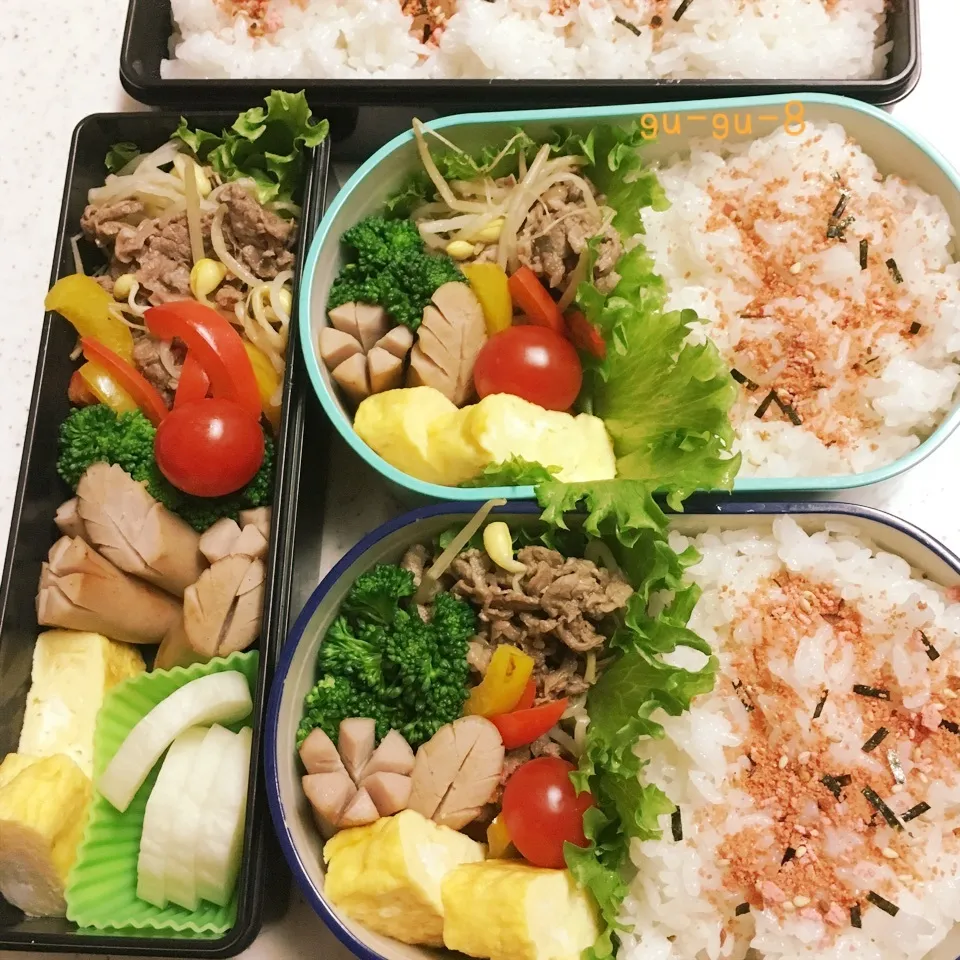 今日のお仕事&学校弁当♪|ぐぅさん