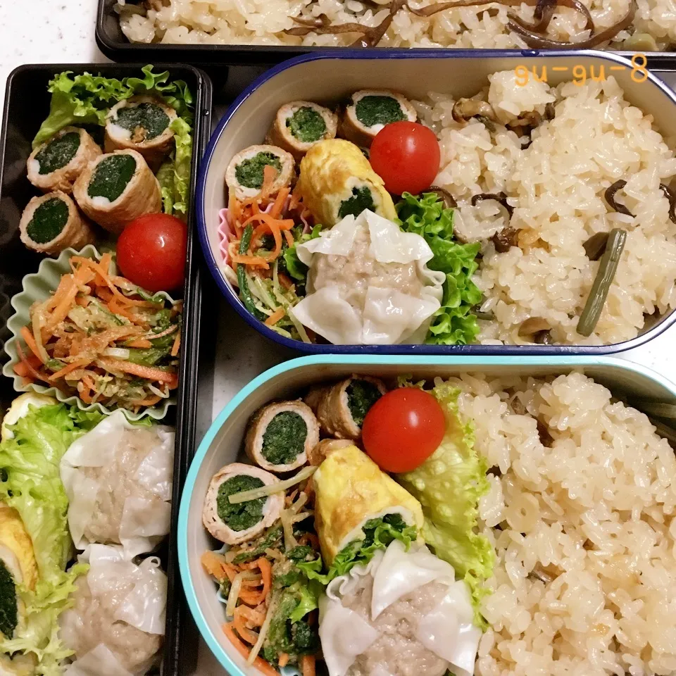 今日のお仕事&学校弁当♪|ぐぅさん