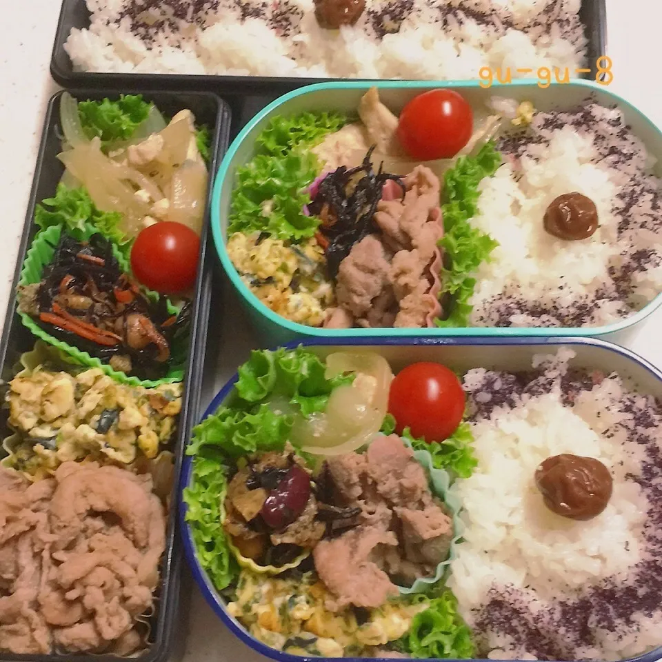 今日のお仕事&学校弁当♪|ぐぅさん