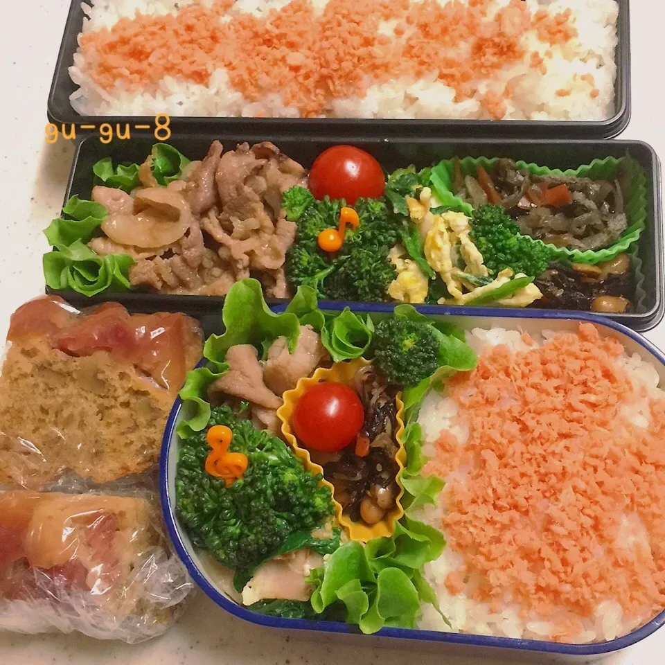 今日のお仕事弁当♪|ぐぅさん