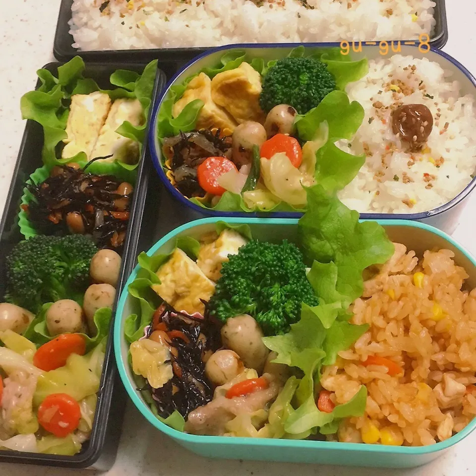 今日のお仕事&学校弁当♪|ぐぅさん