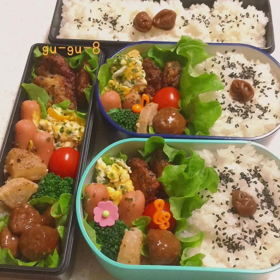 今日のお仕事&学校弁当♪|ぐぅさん