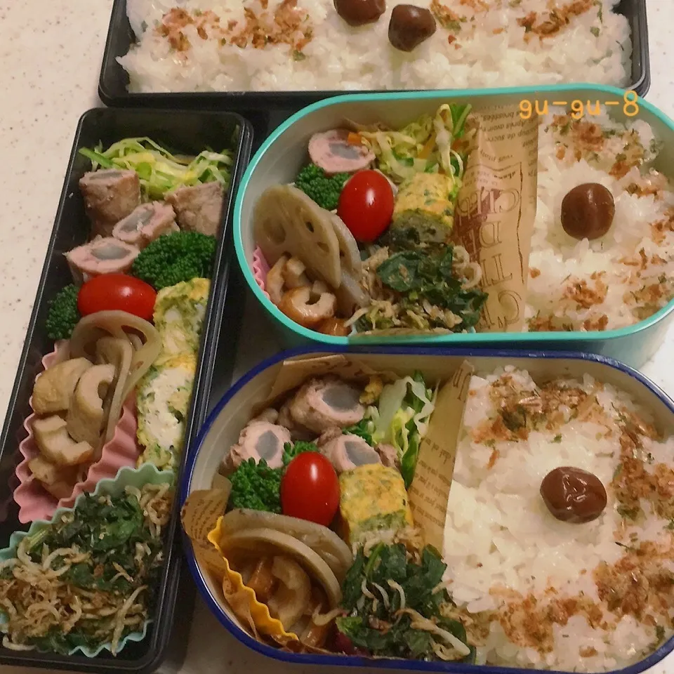 今日のお仕事&学校弁当♪|ぐぅさん