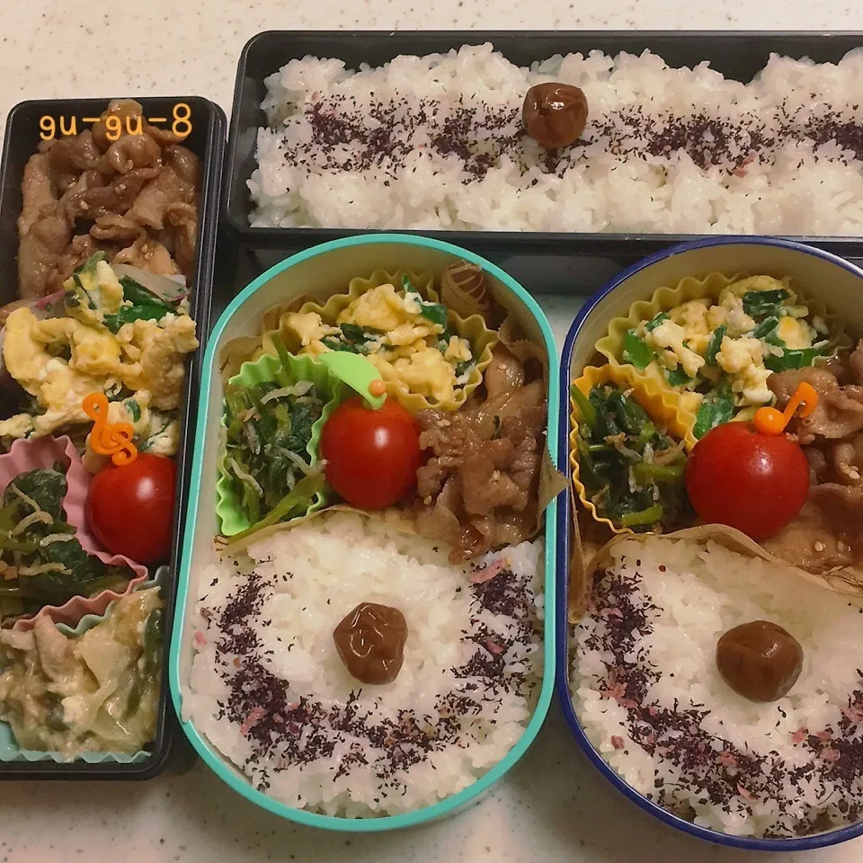 Snapdishの料理写真:今日のお仕事&学校弁当♪|ぐぅさん