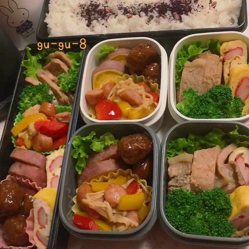 今日のお仕事&学校弁当♪|ぐぅさん