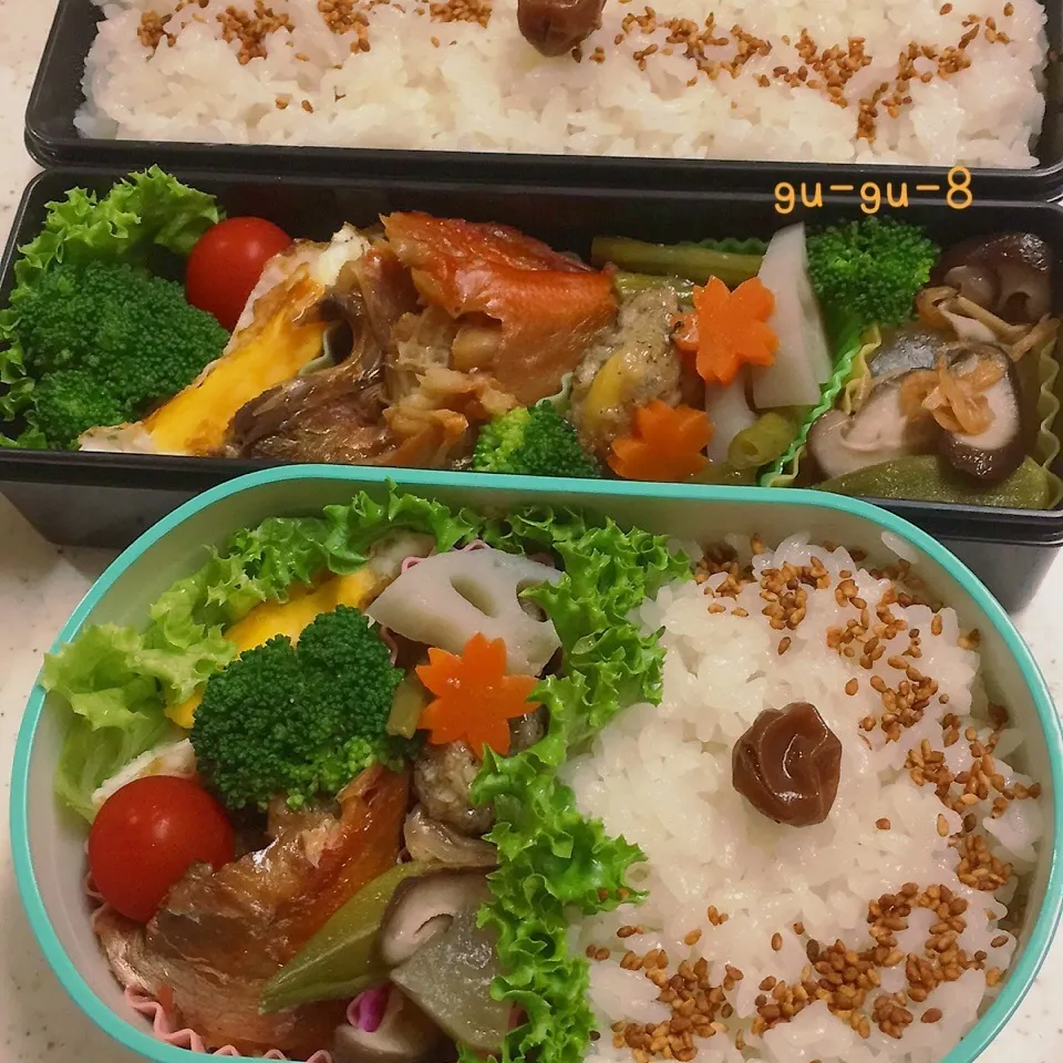 今日のお仕事&学校弁当♪|ぐぅさん