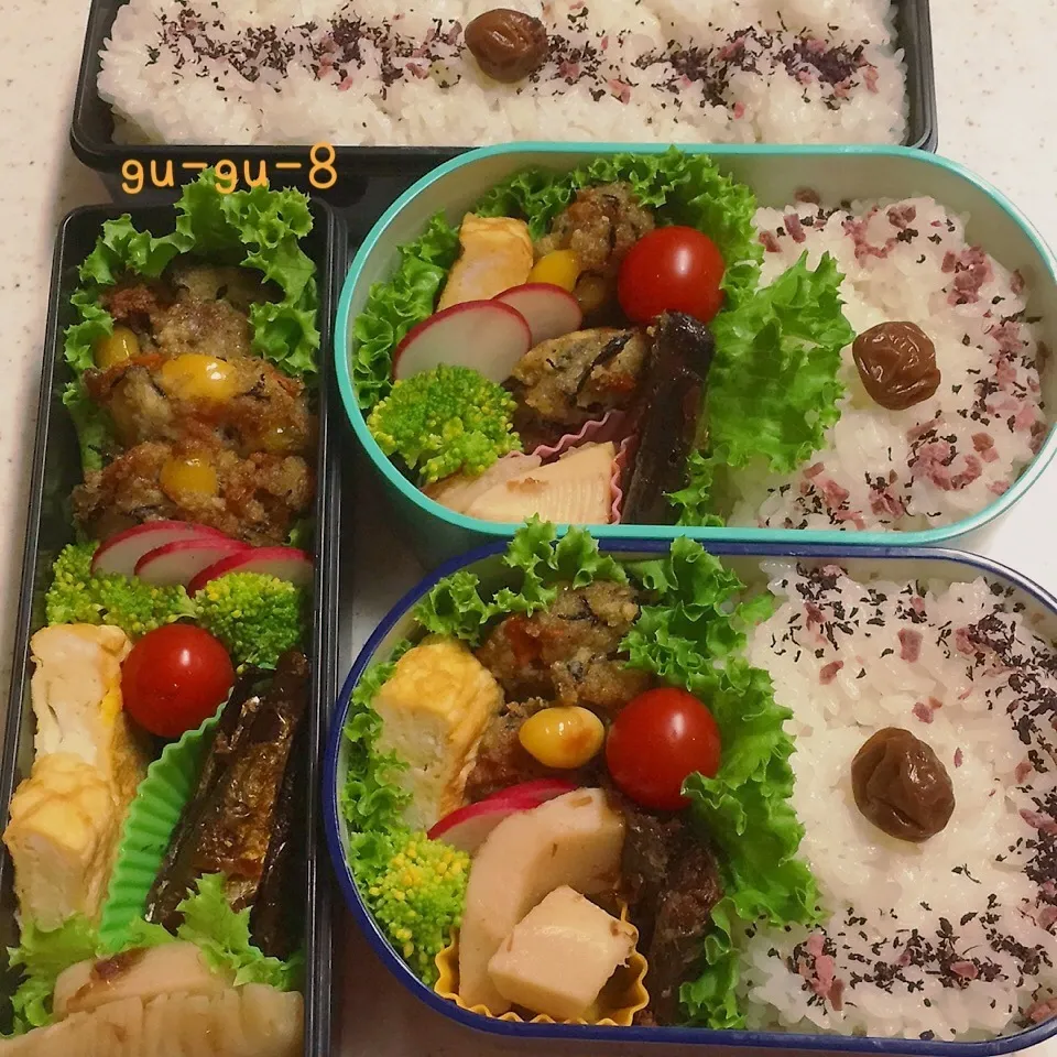 今日のお仕事&学校弁当♪|ぐぅさん