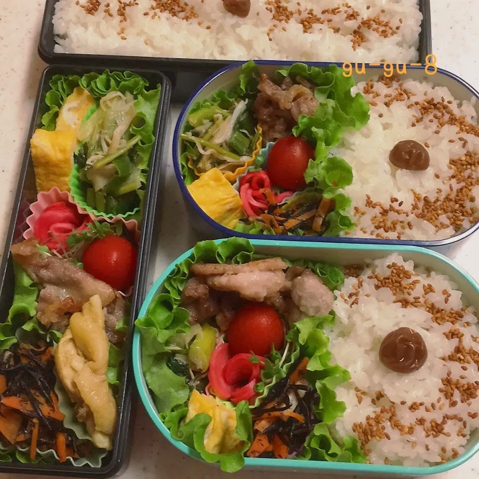 今日のお仕事&学校弁当♪|ぐぅさん