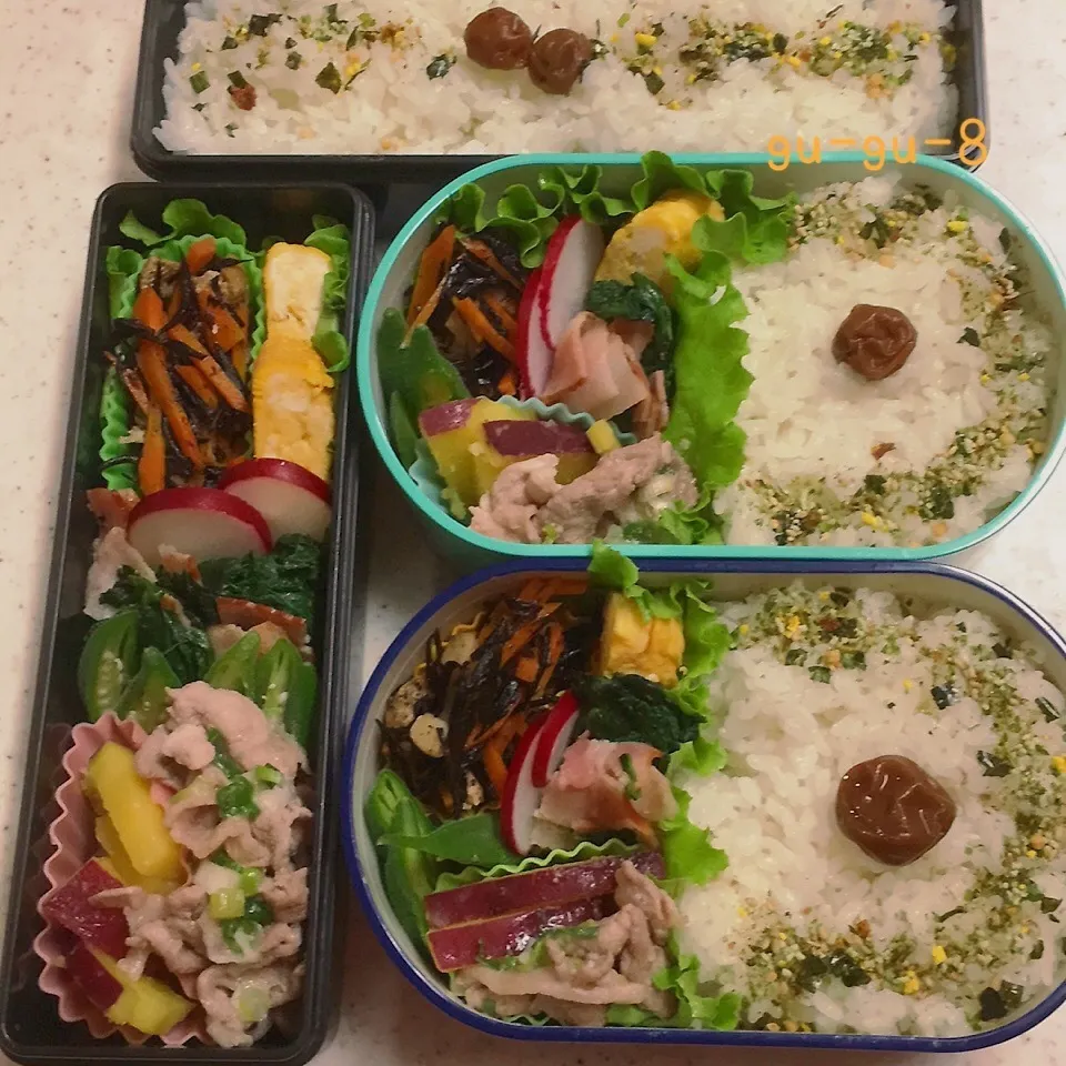 今日のお仕事&学校弁当♪|ぐぅさん