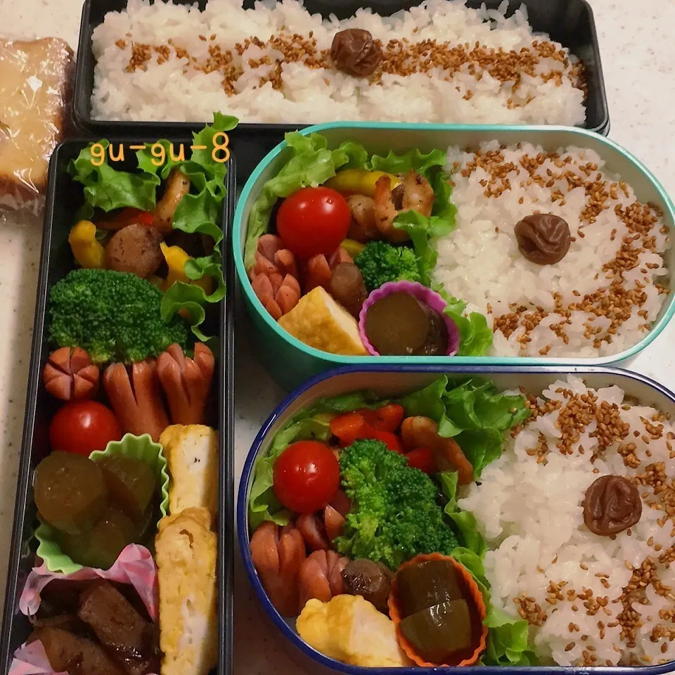 今日のお弁当＆学校弁当♪|ぐぅさん