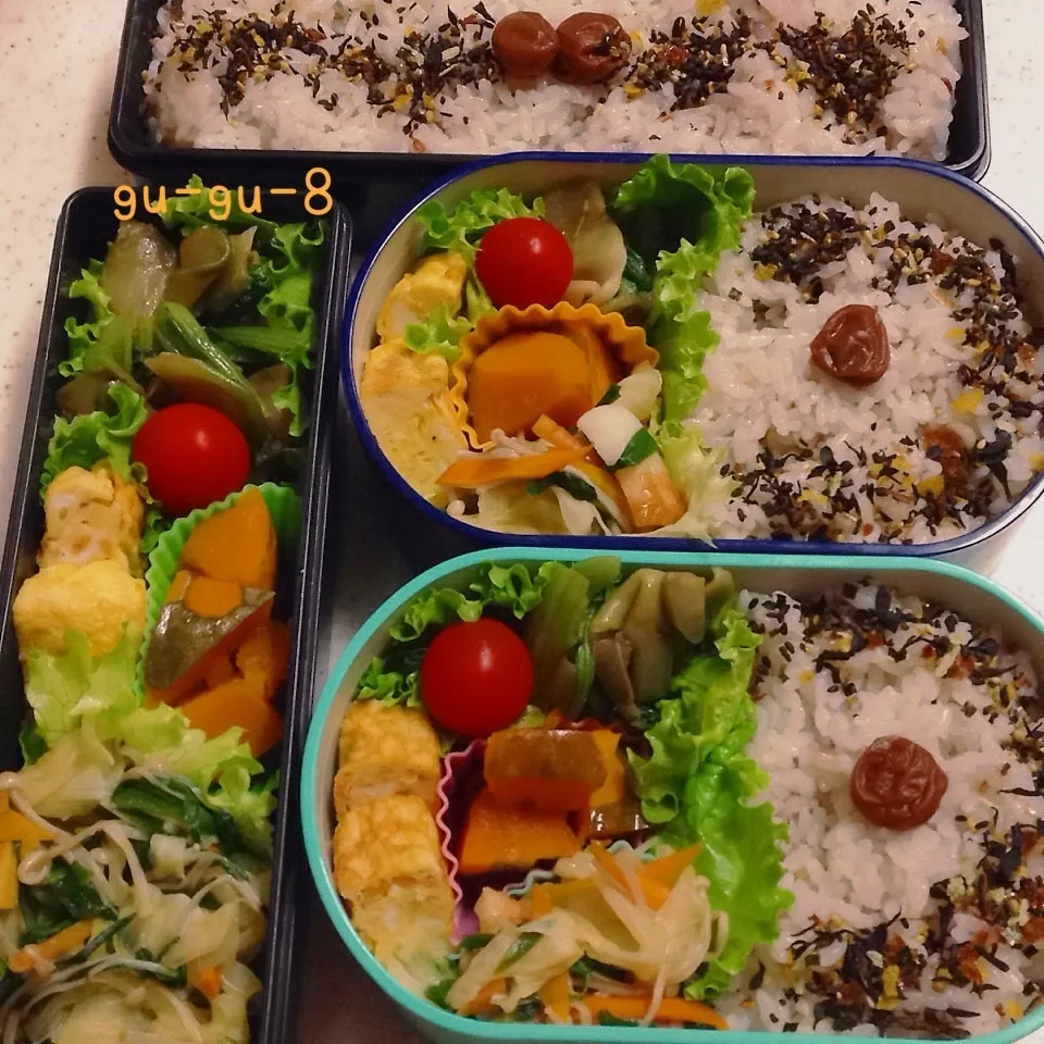 今日のお仕事＆学校弁当♪|ぐぅさん