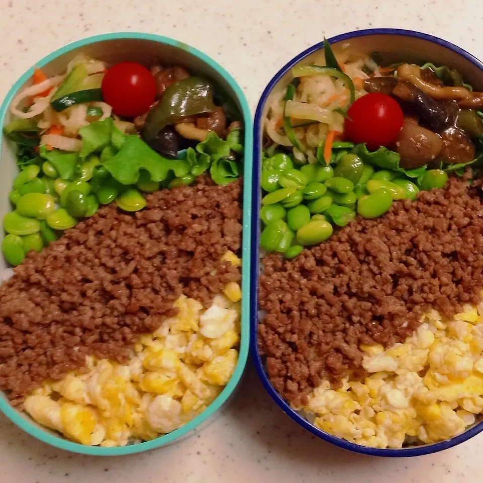 Snapdishの料理写真:今日のお仕事＆学校弁当♪|ぐぅさん