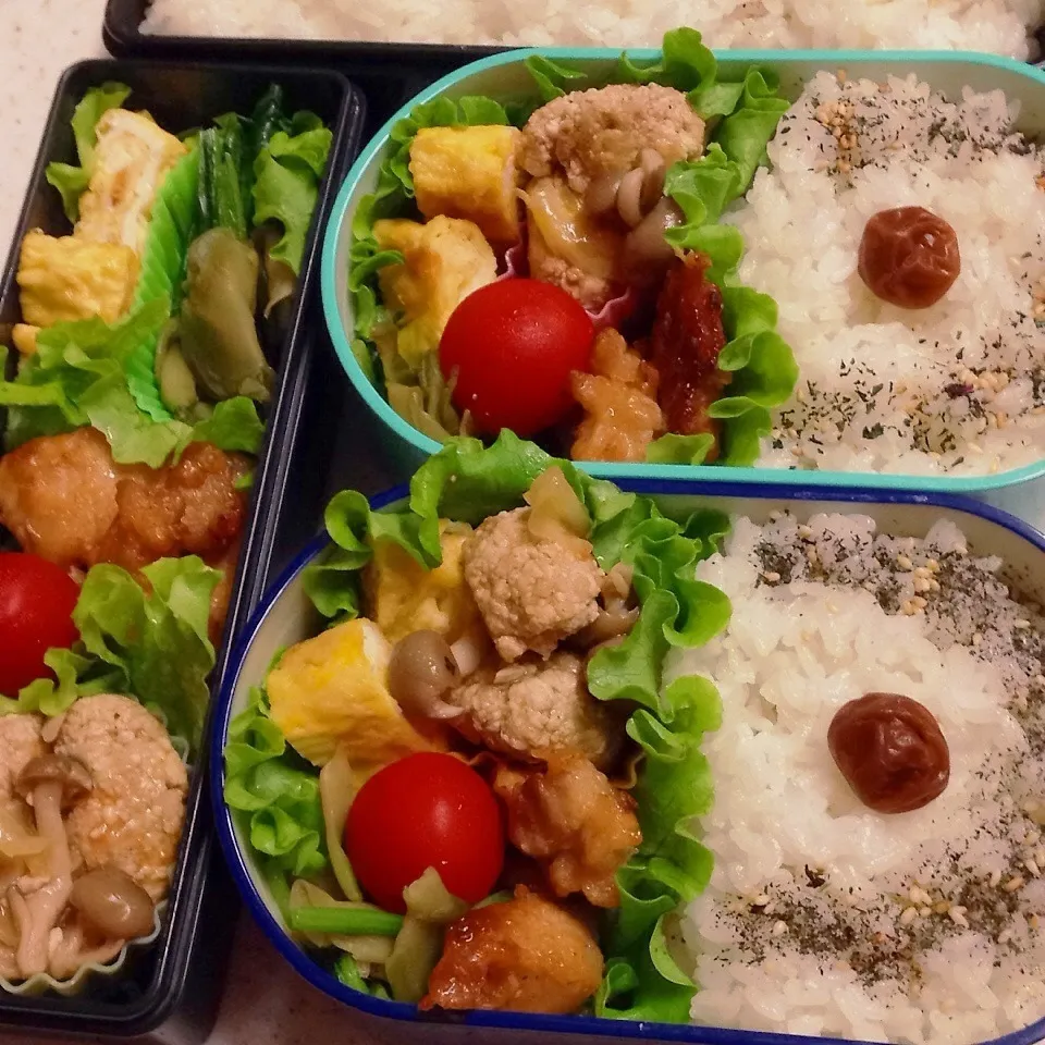 今日のお仕事＆学校弁当♪|ぐぅさん