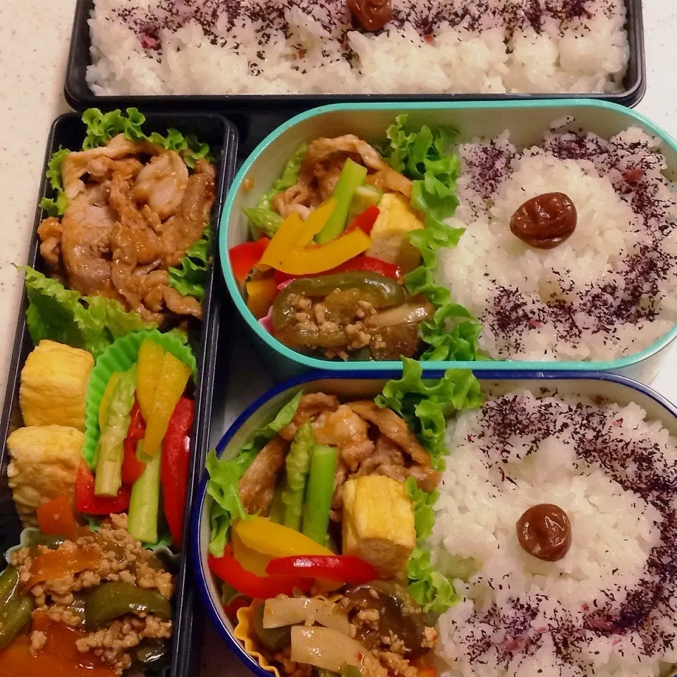 今日のお仕事＆学校弁当♪|ぐぅさん