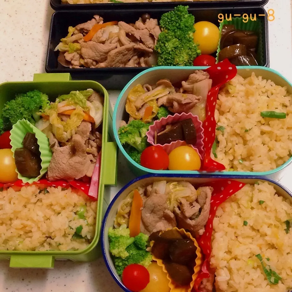 今日のお仕事＆留守番弁当♪|ぐぅさん