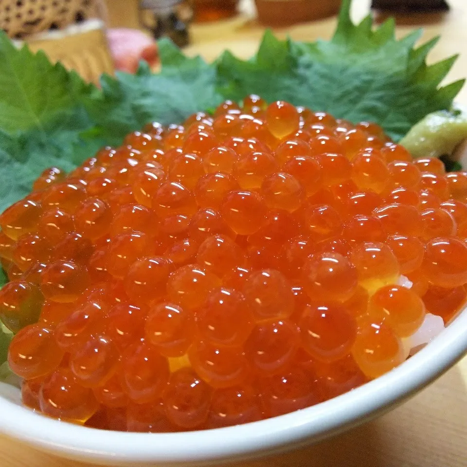 ✳️手作りイクラで～😆イクラ丼✳️|薪clubさん