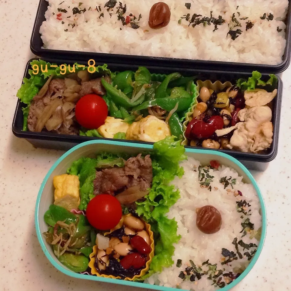 今日のお仕事＆学校弁当♪|ぐぅさん