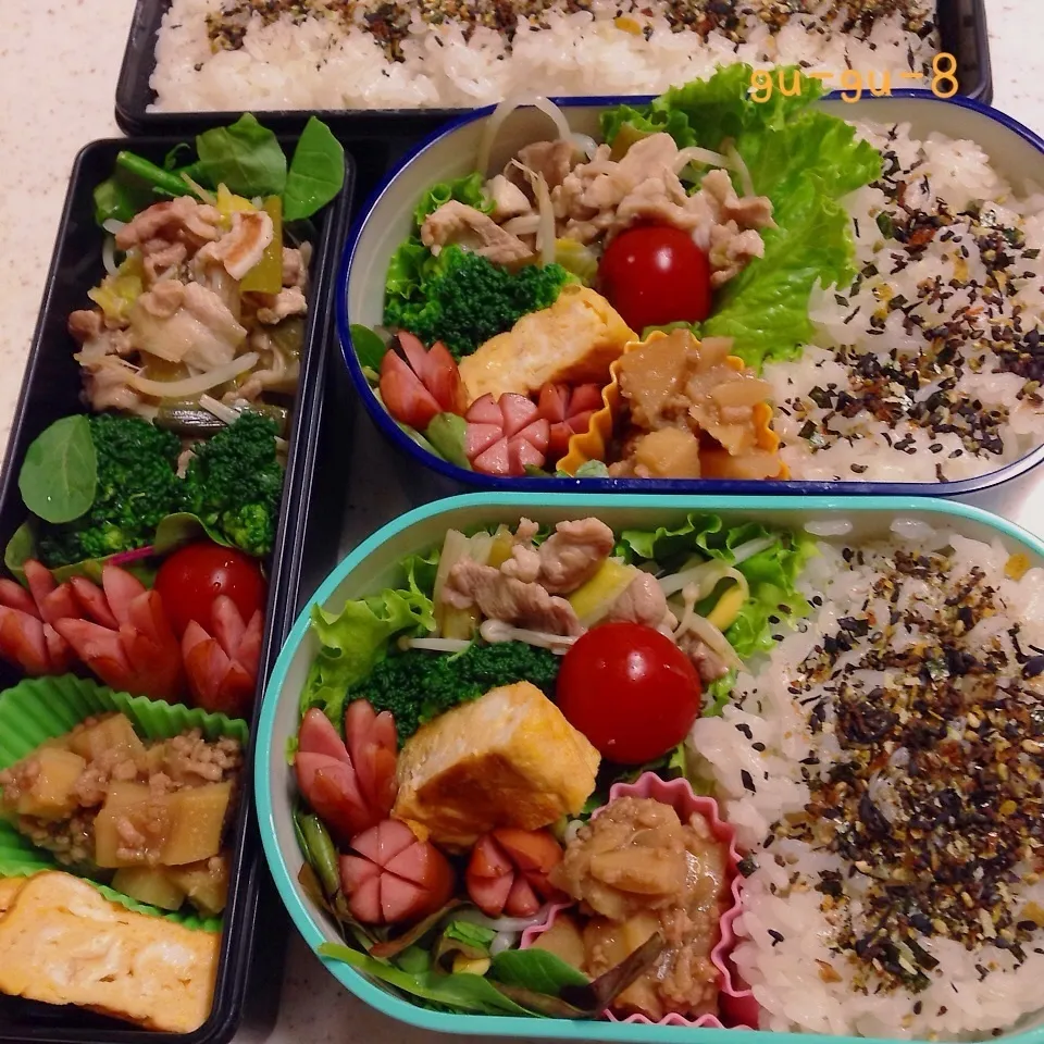 今日のお仕事＆学校弁当♪|ぐぅさん