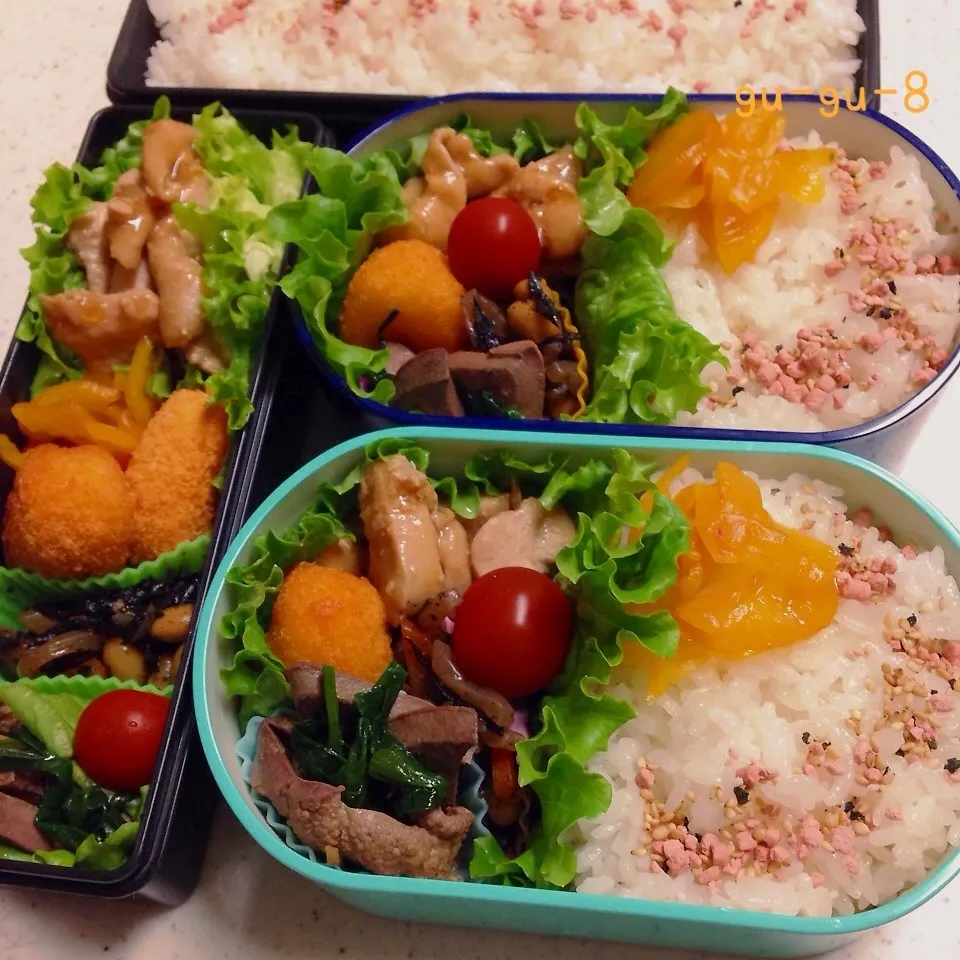 今日のお仕事＆留守番弁当♪|ぐぅさん