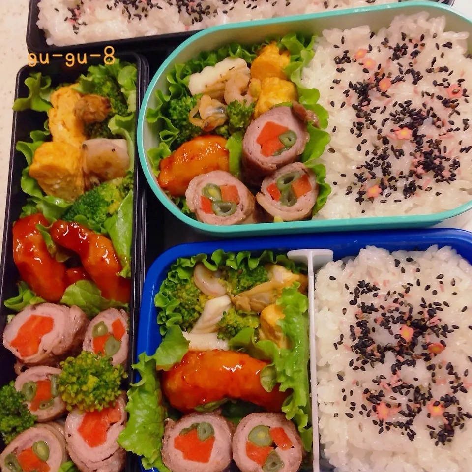 今日のお仕事＆留守番弁当♪|ぐぅさん