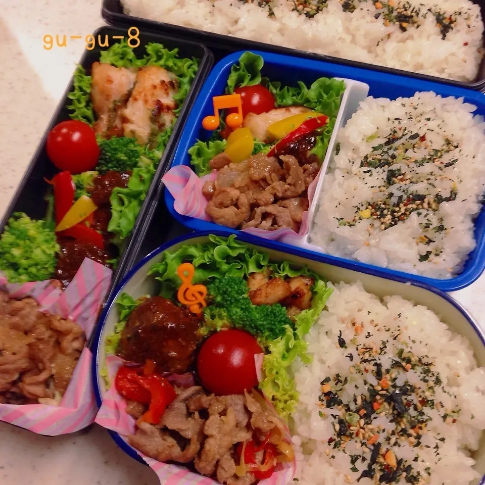 今日のお仕事＆留守番弁当♪|ぐぅさん