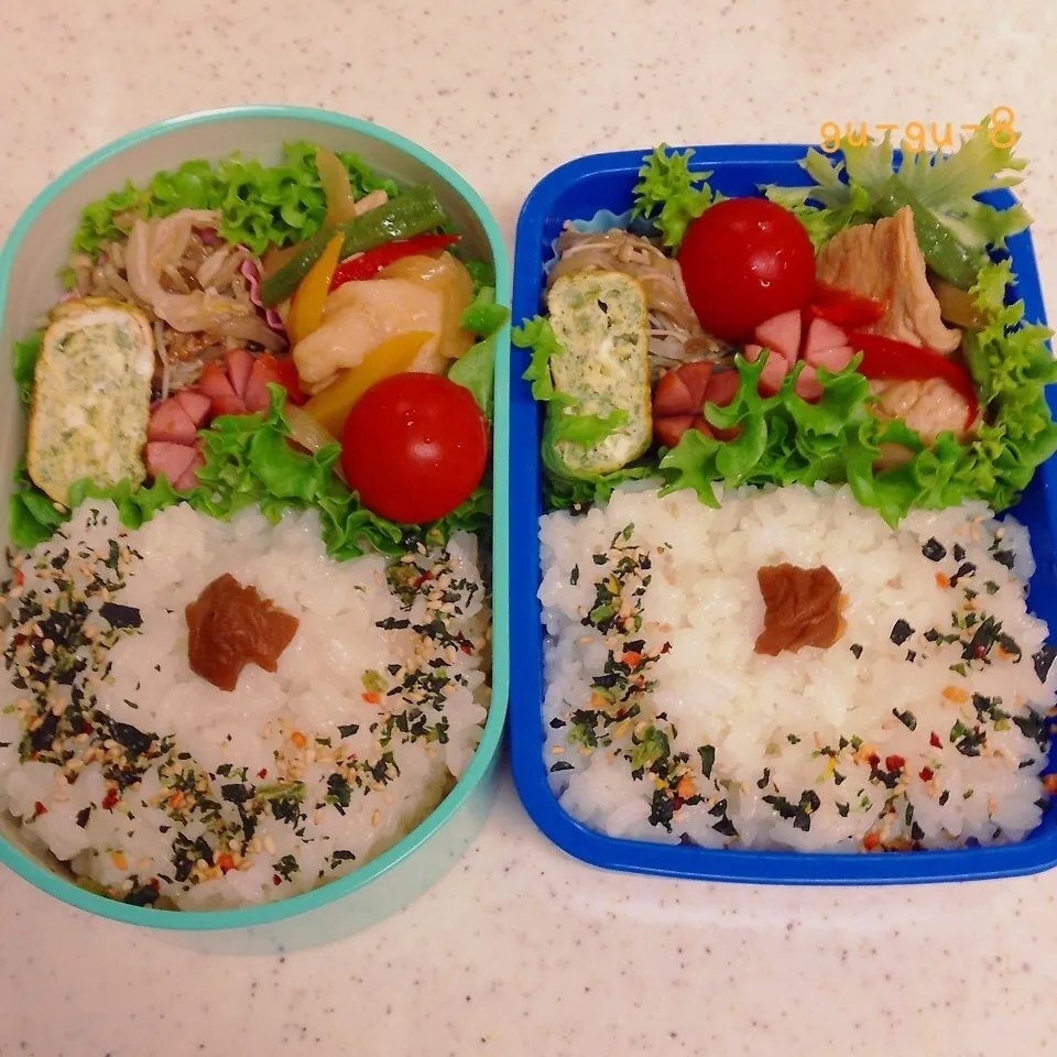 今日の学校＆留守番弁当♪|ぐぅさん