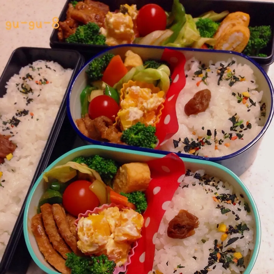 今日のお仕事＆学校弁当♪|ぐぅさん