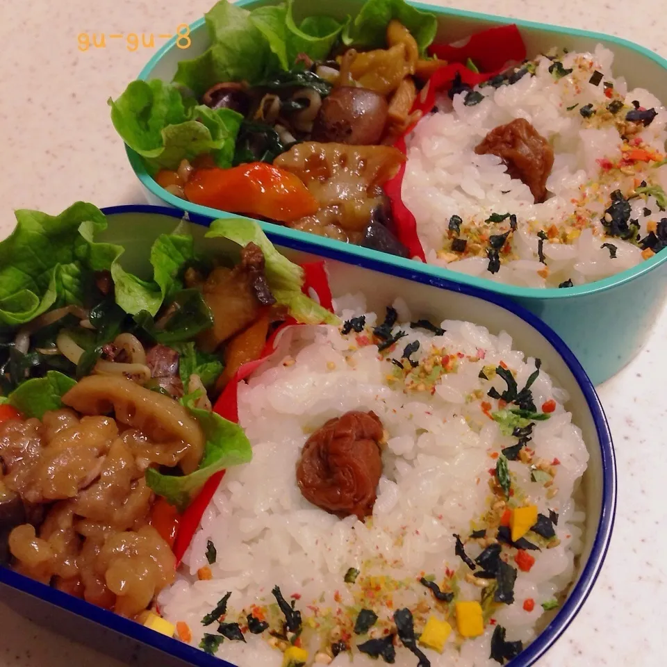 今日のお仕事＆学校弁当♪|ぐぅさん