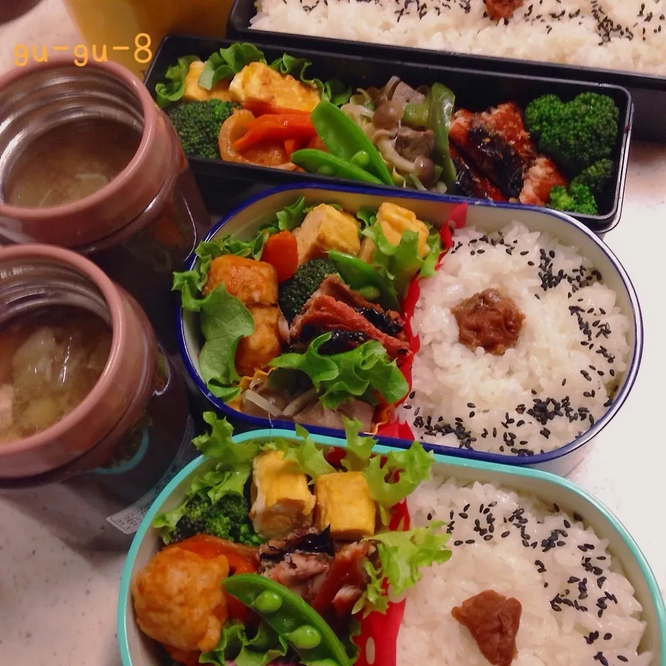 今日のお仕事＆学校弁当♪|ぐぅさん