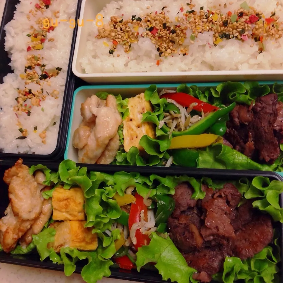 今日のお仕事＆学校弁当♪|ぐぅさん