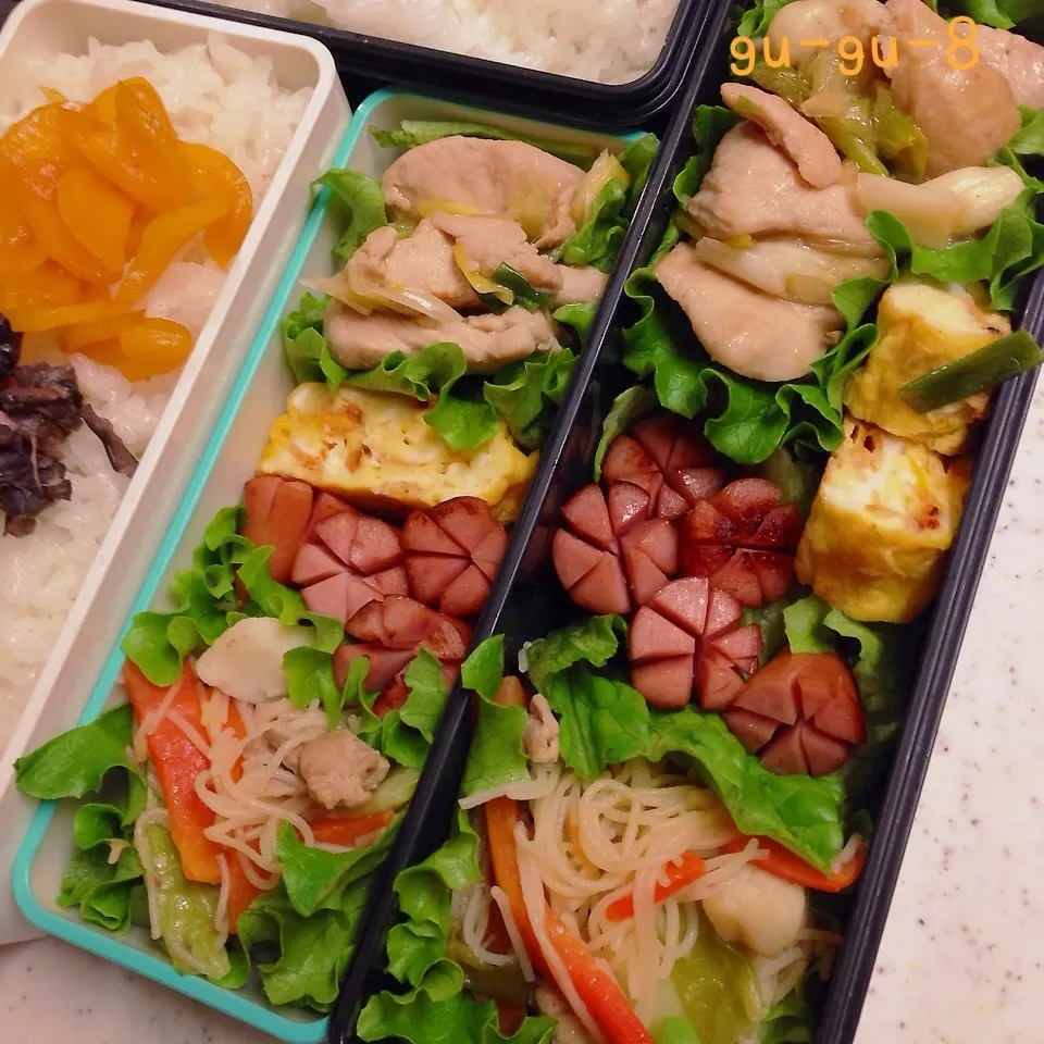 今日のお仕事＆学校弁当♪|ぐぅさん