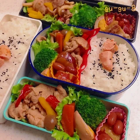 Snapdishの料理写真:今日のお仕事＆学校弁当♪|ぐぅさん