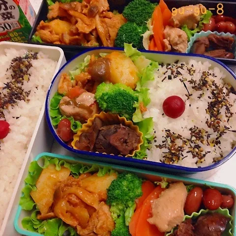 今日のお仕事＆学校弁当♪|ぐぅさん