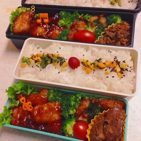 今日のお仕事＆学校弁当♪|ぐぅさん