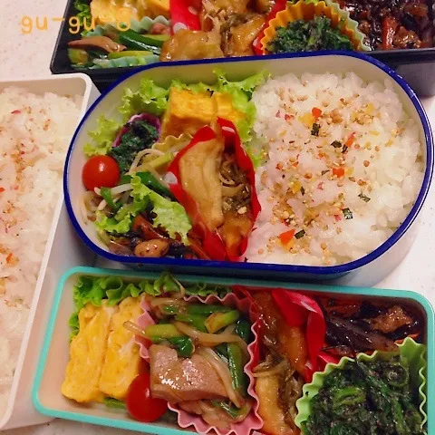 今日のお仕事＆学校弁当♪|ぐぅさん