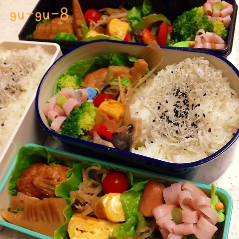 今日のお仕事＆学校弁当♪|ぐぅさん