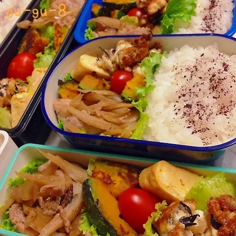 今日のお仕事＆部活＆留守番弁当♪|ぐぅさん