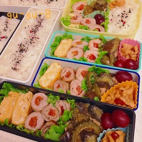 今日のお仕事＆留守番弁当♪|ぐぅさん